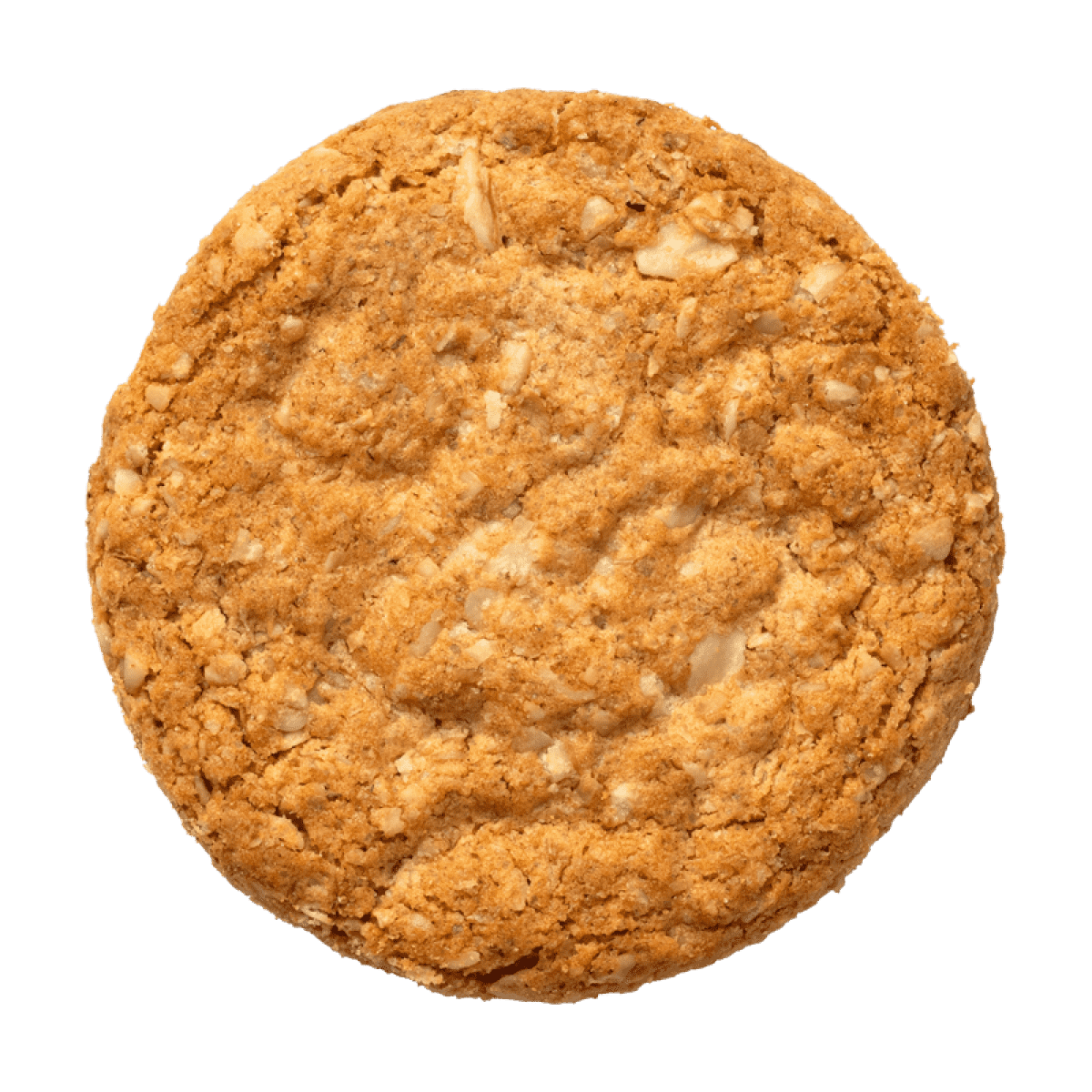 biscuit